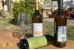 Cantine Aperte 2022 - Pietra de' Giorgi