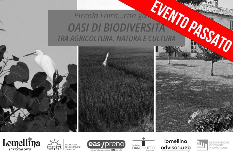 Visita guidata: Tenuta San Marzano Mercurina